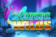 Aurora Wilds